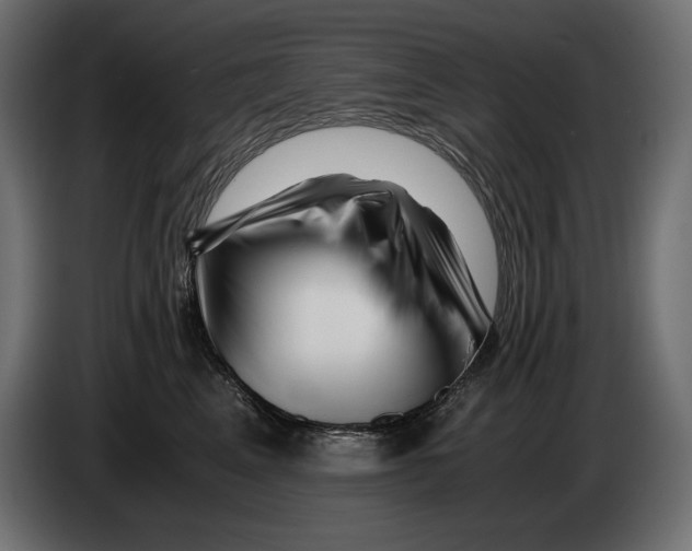 X0000082970617200703020236