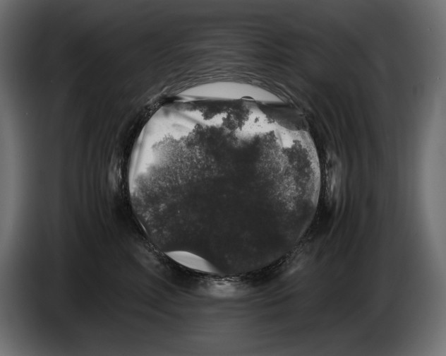 X0000082970618200703020236