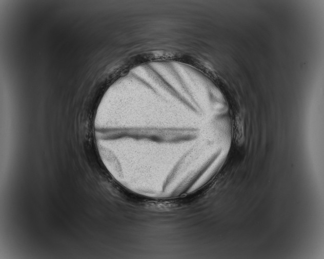 X0000082970619200703020236