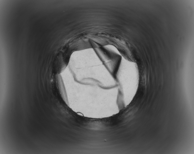 X0000082970620200703020236