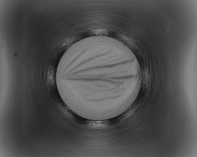 X0000082970622200703020236