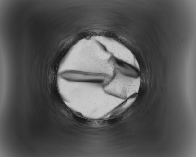 X0000082970623200703020236