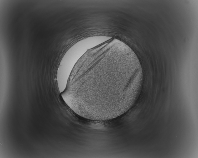 X0000082970624200703020236
