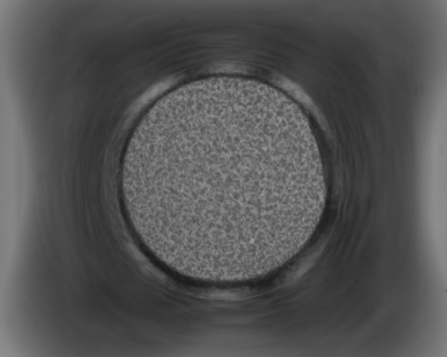X0000082970625200703020235