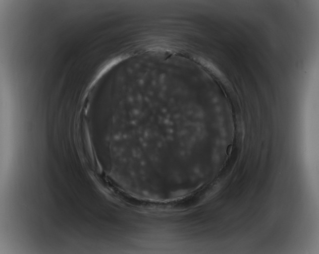 X0000082970626200703020235