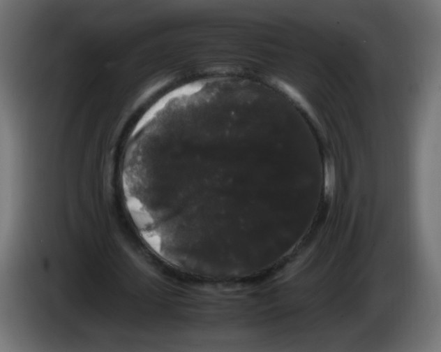 X0000082970627200703020235