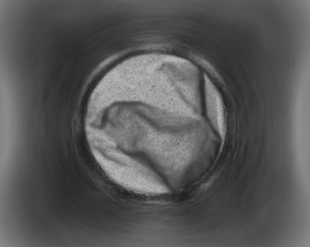 X0000082970628200703020235