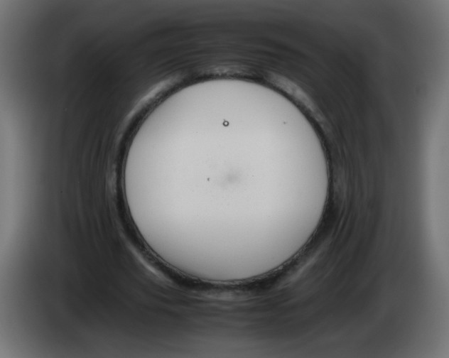 X0000082970629200703020235