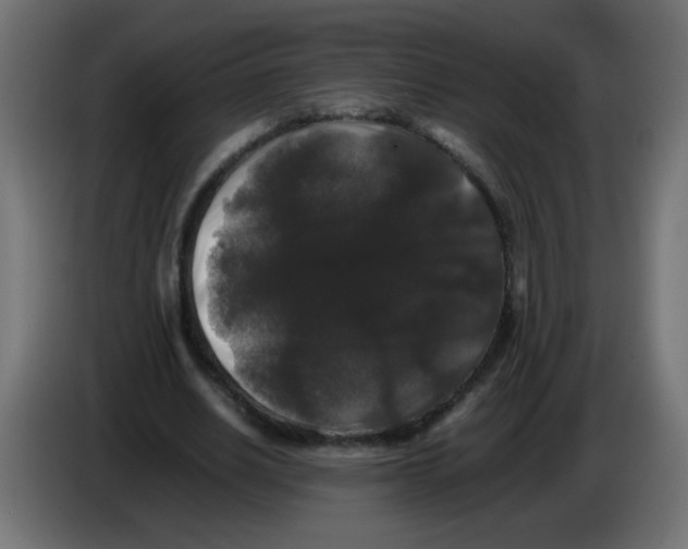 X0000082970630200703020235