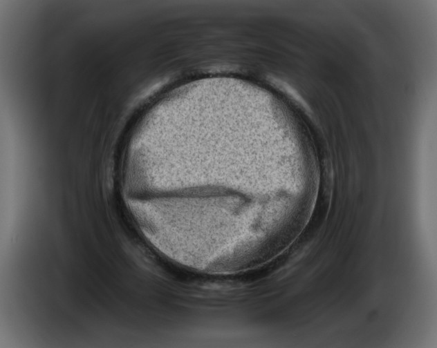 X0000082970631200703020235