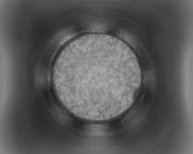 X0000082970632200703020235
