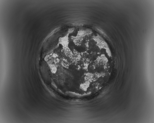 X0000082970634200703020235