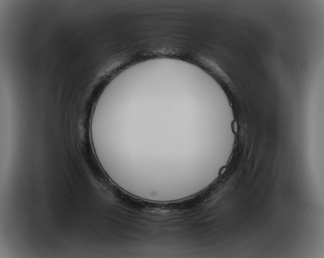 X0000082970635200703020235