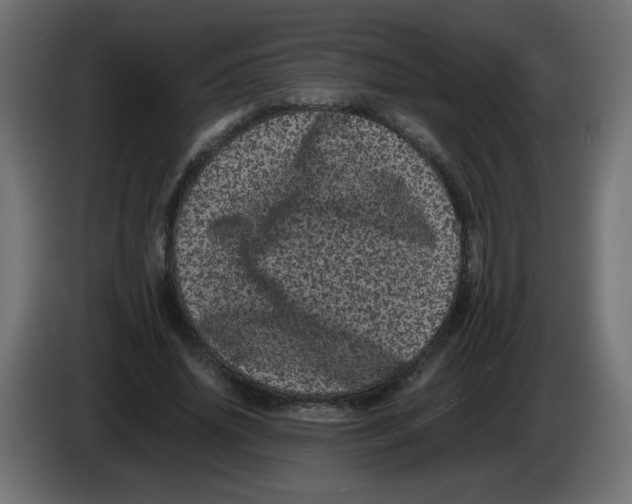 X0000082970636200703020235