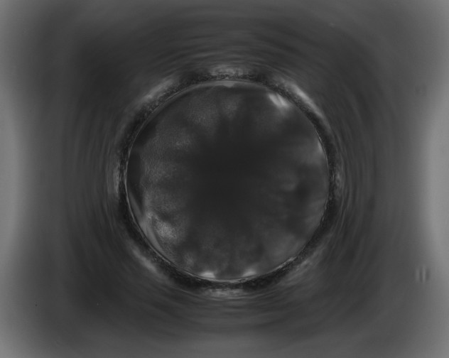X0000082970637200703020235