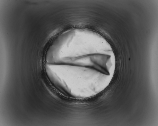 X0000082970638200703020235