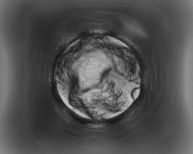 X0000082970639200703020235