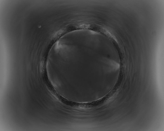 X0000082970641200703020235