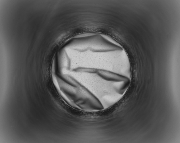 X0000082970642200703020235