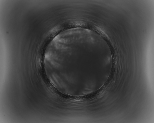 X0000082970643200703020235