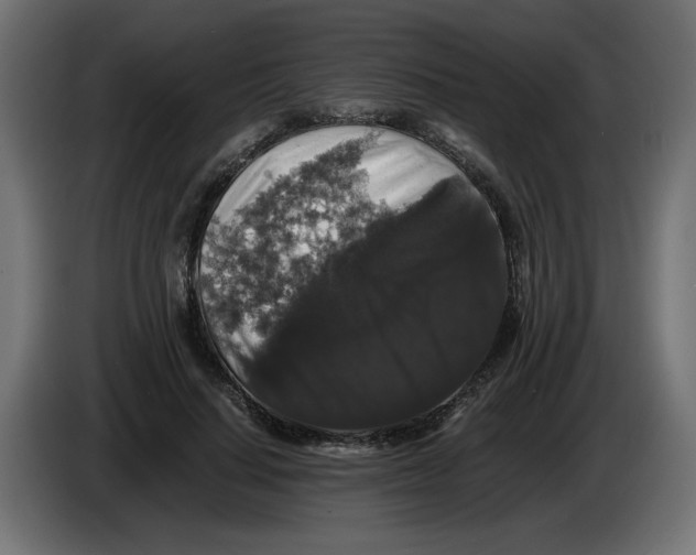 X0000082970644200703020235