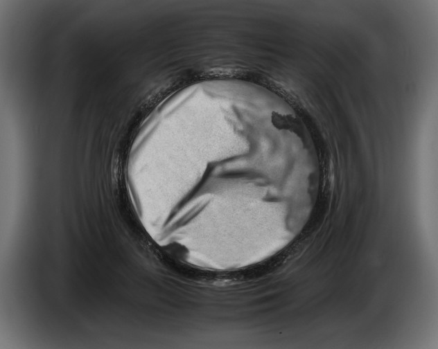 X0000082970647200703020235