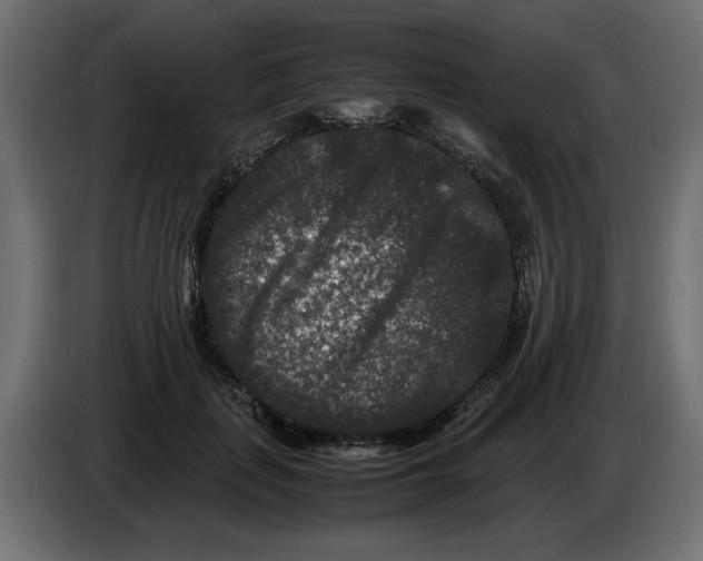 X0000082970651200703020235