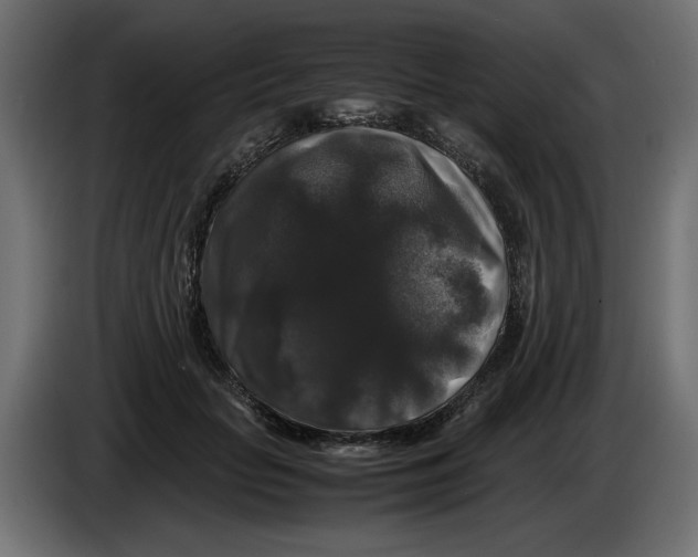 X0000082970653200703020235