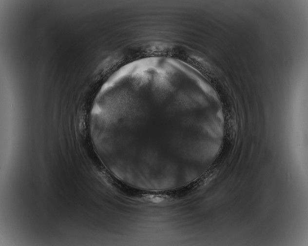 X0000082970654200703020235