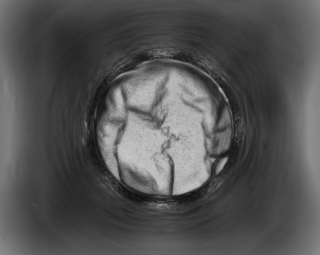 X0000082970655200703020235