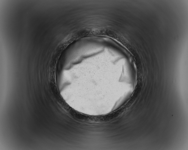 X0000082970656200703020235