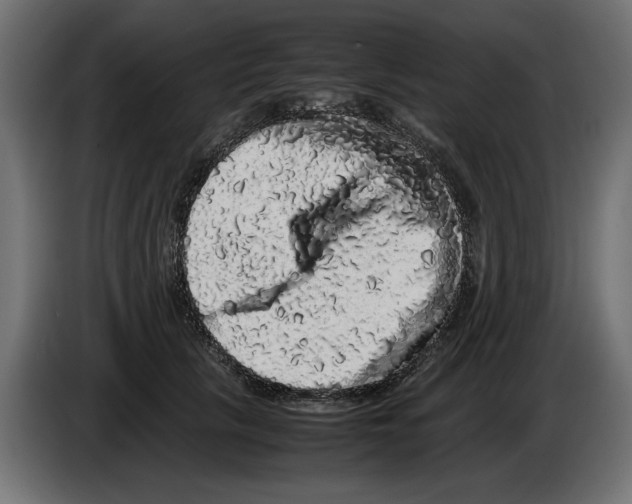 X0000082970657200703020235