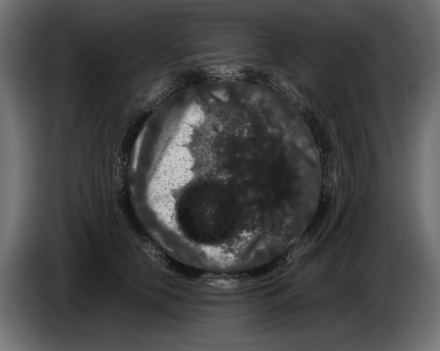 X0000082970658200703020235