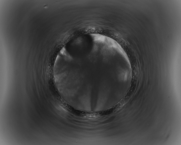 X0000082970659200703020235