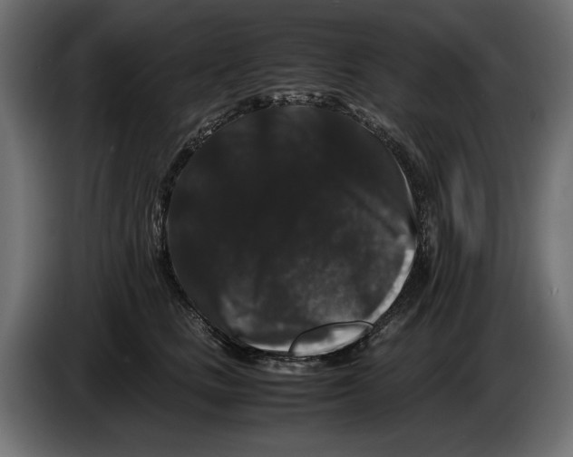X0000082970661200703020235