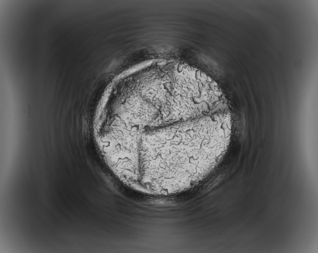 X0000082970662200703020235