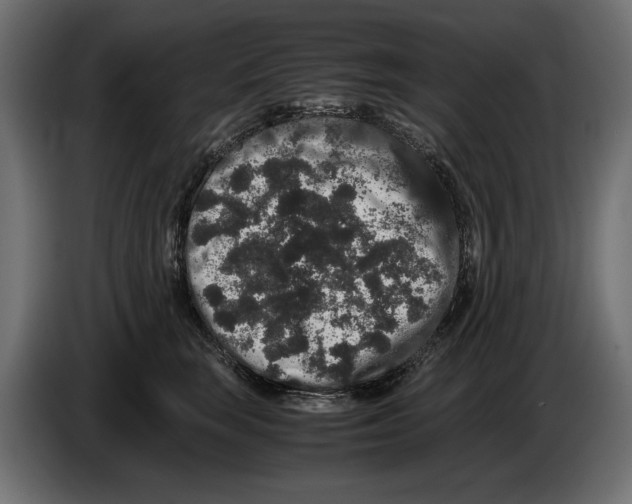 X0000082970663200703020235