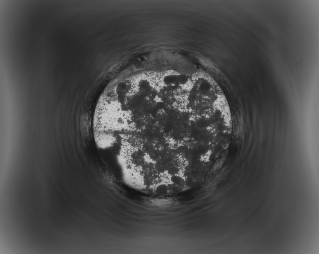 X0000082970669200703020235