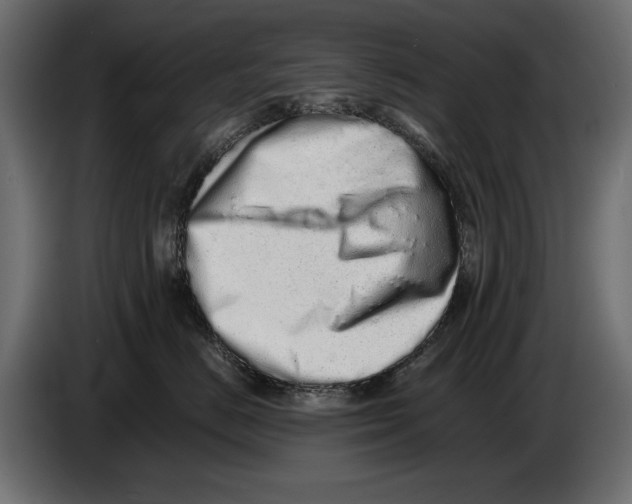 X0000082970670200703020236