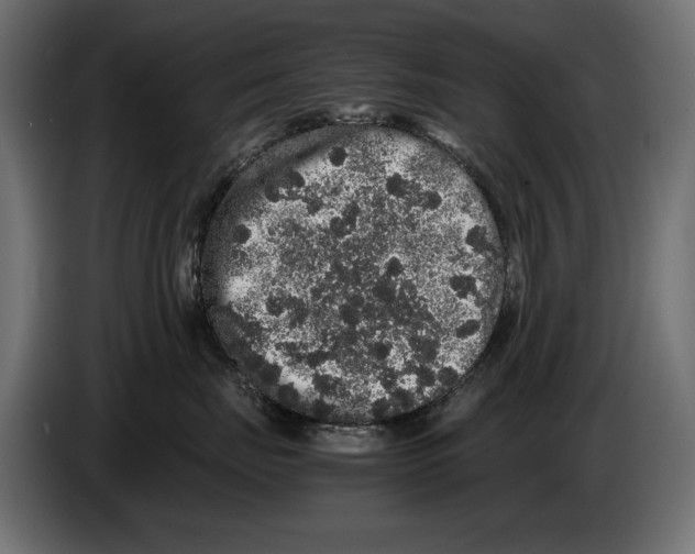 X0000082970671200703020236