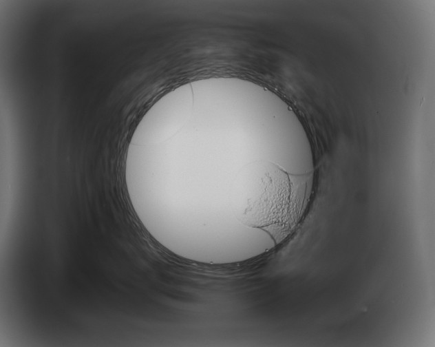X0000082970672200703020236