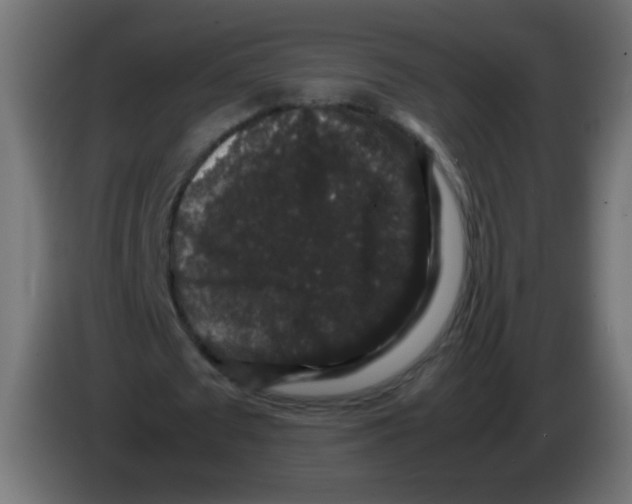 X0000082970673200703020235
