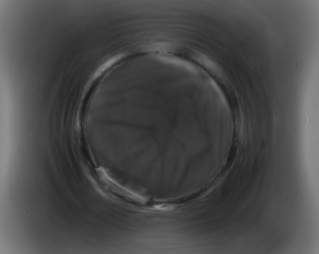 X0000082970674200703020235