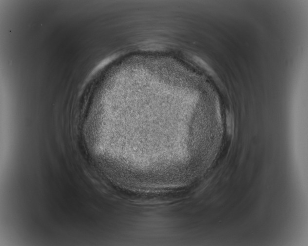 X0000082970675200703020235