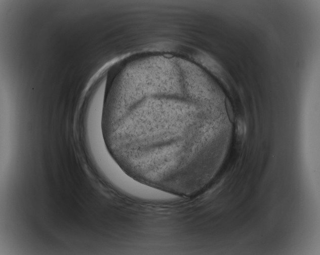 X0000082970676200703020235