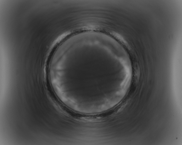 X0000082970678200703020235