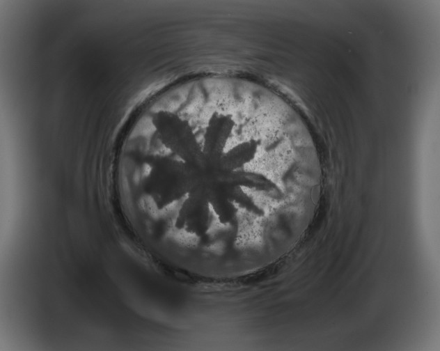 X0000082970679200703020235