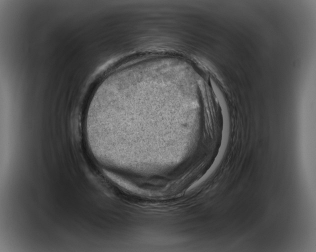 X0000082970680200703020235