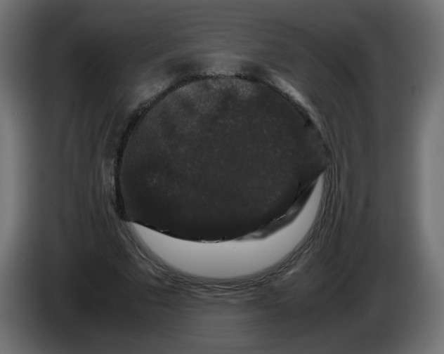 X0000082970681200703020235