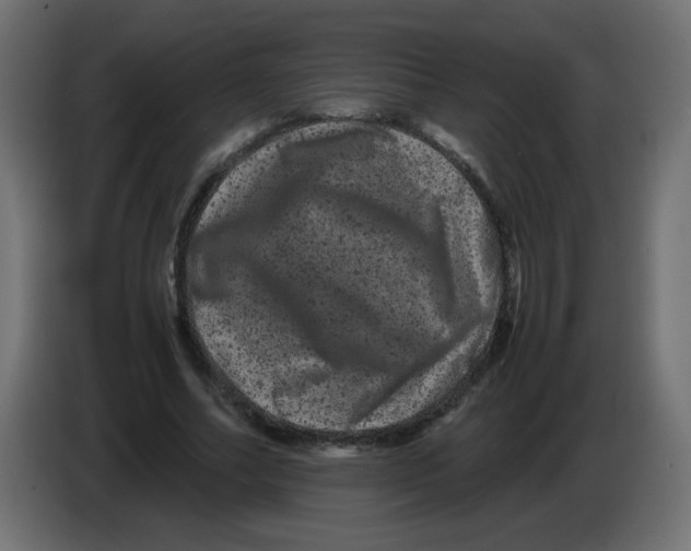 X0000082970682200703020235